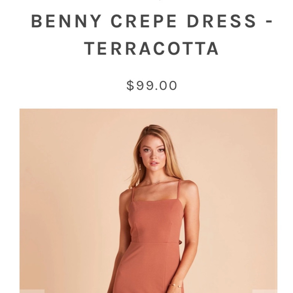 Birdy Grey Benny Crepe Dress- Terracotta